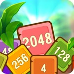 Tropical Cubes 2048