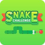 Snake Challenge